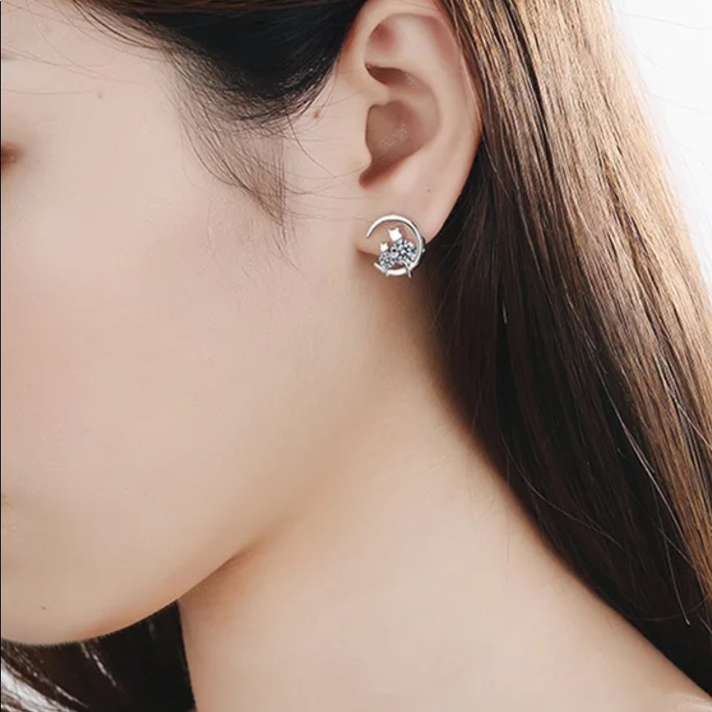 🌟 Silver Cat Moon CZ Stud Earrings - Picture 2 of 5